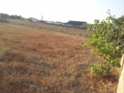 Satılır 10 sot torpaq Bilgəh