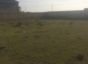 Satılır 5 sot torpaq Türkan