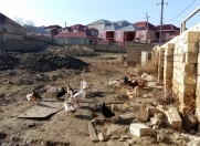 Satılır 10 sot torpaq Masazır