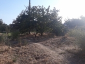 Satılır 5.5 sot torpaq Novxanı