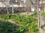 Satılır 7 sot torpaq Hövsan