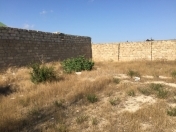 Satılır 5 sot torpaq Xaşaxuna