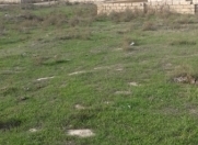 Satılır 3 sot torpaq Masazır