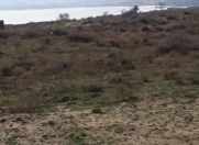 Satılır 21 sot torpaq Saray