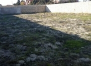 Satılır 6 sot torpaq Görədil