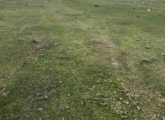 Satılır 80 sot torpaq Məhəmmədli