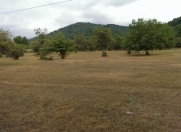 Satılır 32 sot torpaq Quba