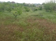 Satılır 23 sot torpaq Novxanı