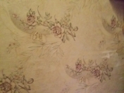 Satılır 3 sot torpaq Binə