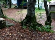 Satılır 25 otaqlı 1141 m2 obyekt Qusar