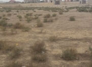 Satılır 10 sot torpaq Novxanı