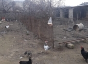 Satılır 3 sot torpaq Əhmədli