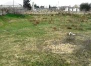 Satılır 8 sot torpaq Albalı