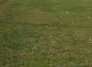 Satılır 10 sot torpaq Perekeşkül