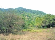 Satılır 80 sot torpaq Quba