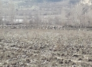 Satılır 450 sot torpaq İsmayıllı