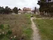 Satılır 20 sot torpaq Şüvəlan