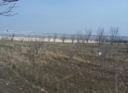 Satılır 160 sot torpaq Məhəmmədli