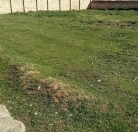 Satılır 8 sot torpaq Novxanı