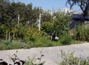 Satılır 5 otaqlı 180 m2 həyət evi Badamdar