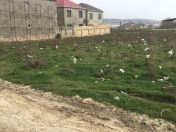 Satılır 8 sot torpaq Mehdiabad