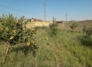 Satılır 3 sot torpaq Məhəmmədli