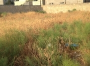 Satılır 6 sot torpaq Sulutəpə