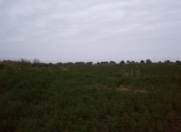 Satılır 3000 sot torpaq Qusar