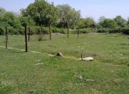 Satılır 15 sot torpaq Quba