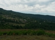 Satılır 210 sot torpaq Quba