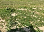 Satılır 10 sot torpaq Məhəmmədli