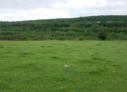 Satılır 10 sot torpaq Quba