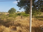 Satılır 34 sot torpaq Saray