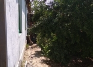 Satılır 6 sot torpaq Montin