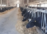 Satılır 30 otaqlı 30000 m2 obyekt Xızı