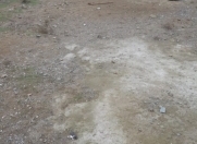 Satılır 4.5 sot torpaq Badamdar