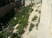 Satılır 3 sot torpaq Badamdar