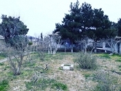 Satılır 25 sot torpaq Bilgəh