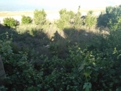 Satılır 10 sot torpaq Fatmayı