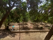 Satılır 14 sot torpaq Bilgəh