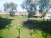 Satılır 12 sot torpaq Şüvəlan