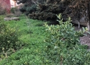 Satılır 10 sot torpaq Bilgəh