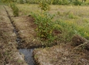 Satılır 200 sot torpaq Xudat