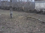 Satılır 7 sot torpaq Qusar