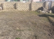 Satılır 3 sot torpaq Saray