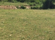 Satılır 12 sot torpaq Şamaxı