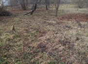 Satılır 10 sot torpaq İsmayıllı