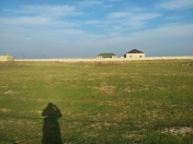 Satılır 100 sot torpaq Məhəmmədli