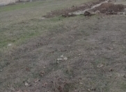 Satılır 4 sot torpaq Gəncə