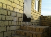 Satılır 2 otaqlı 52 m2 həyət evi Masazır